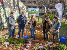 San Fernando: nueva huerta en Hospital Provincial para Salud Mental