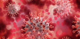 Covid-19: la Provincia registró 51 distritos sin muertes desde hace un mes