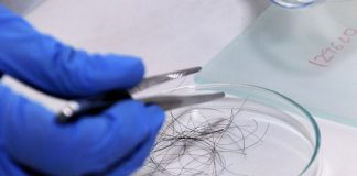 Novedoso estudio permite medir el estrés a través del cabello