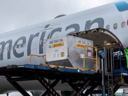 Pfizer y BioNTech confirman su primera entrega de vacunas contra el Covid-19 a la Argentina