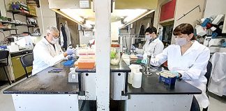 Covid-19: hace 20 semanas consecutivas hay una disminución de casos