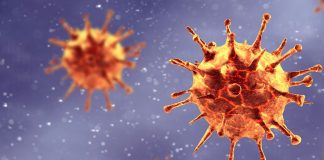 Sudáfrica: lo que tenés que saber sobre la nueva variante del coronavirus