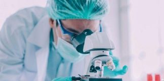 Identifican proteínas que bacterias patógenas usan para resistir antibióticos