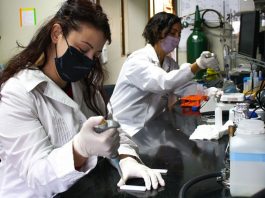 Covid-19: con una sola dosis uno de los desarrollos nacionales consiguió neutralizar variantes del virus