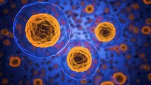 new-strategy-for-beating-therapy-resistant-prostate-cancer-278421-640x360