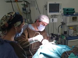 Tigre: el Materno Infantil realizó con éxito la primera neurocirugía en la historia del distrito