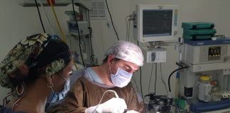 Tigre: el Materno Infantil realizó con éxito la primera neurocirugía en la historia del distrito