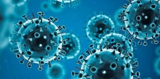 Para la OMS no hay pruebas de que Ómicron genere una enfermedad más grave