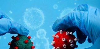 Ómicron: ocho datos clave sobre la nueva variante