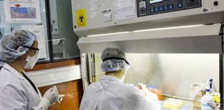 Ómicron en Argentina: primer caso detectado en un viajero procedente de Sudáfrica