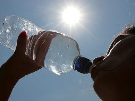 San Isidro: cómo evitar un golpe de calor en grandes y chicos