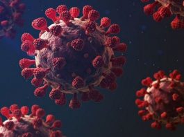 Argentina registra una baja de casi el 97% en el número de casos desde el pico de la pandemia