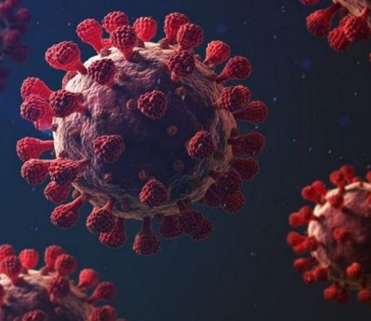 Argentina registra una baja de casi el 97% en el número de casos desde el pico de la pandemia