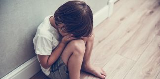 Tigre: prohíben la pirotecnia para proteger a personas con autismo y mascotas