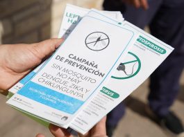 Vicente López: jornadas de prevención contra el dengue
