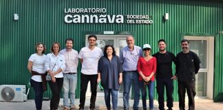 Jujuy: primera planta estatal del país dedicada a la producción de derivados medicinales de cannabis