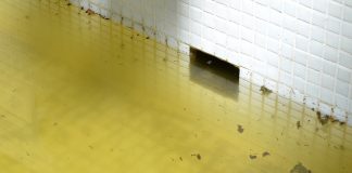 Tigre: medidas preventivas para reducir la propagación del mosquito Aedes Aegypti