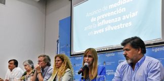 Gripe aviar: recomendaciones ante la detección de un caso en ave silvestre en Jujuy