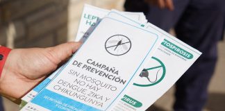 Vicente López: medidas de prevención contra el dengue