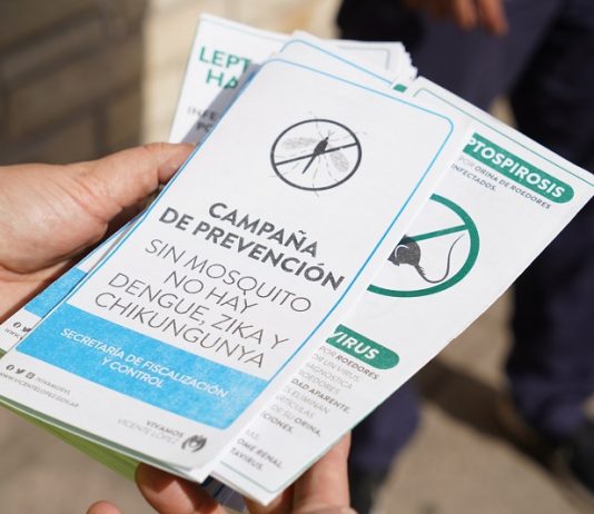 Vicente López: medidas de prevención contra el dengue