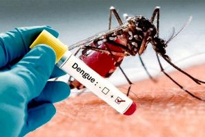 vacuna dengue 1