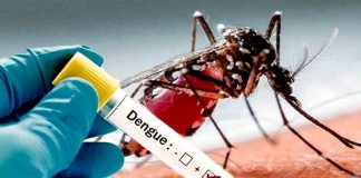 Dengue: la Anmat aprobó el uso de una vacuna desarrollada por un laboratorio japonés