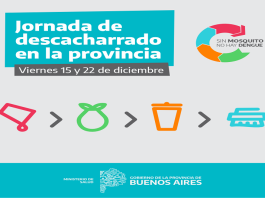 Dengue y chikungunya: la Provincia realiza descacharrado intensivo en 31 municipios