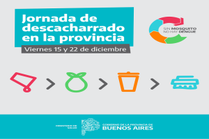 Feed_Descacharrado