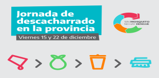 Dengue y chikungunya: la Provincia realiza descacharrado intensivo en 31 municipios