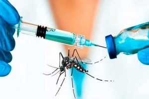 vacuna-contra-dengue-1018708-140301