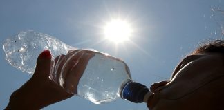 Tigre: consejos ante la ola de calor