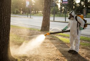 Operativos de fumigación. 1
