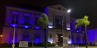 Tigre a favor de la concientización sobre el autismo