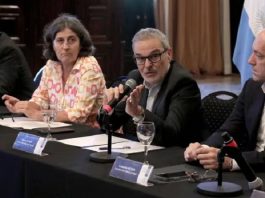 Mario Russo: “La mortalidad del dengue es muy baja, pero eso no importa cuando toca desde lo individual”