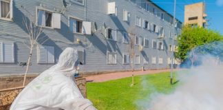 San Fernando refuerza operativos de fumigación y prevención contra el dengue