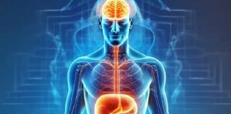 El 69% de los argentinos recibe tratamiento para equilibrar su microbiota intestinal