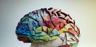 Enfermedades del cerebro: todo lo que debes saber