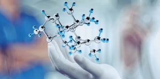 Desde Alzheimer hasta infartos: un reloj de proteínas podría predecir el riesgo de estas enfermedades y otras