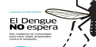 San Martín lanza una nueva campaña de prevención contra el Dengue