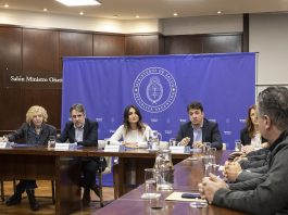 Dengue: el Ministerio de Salud convocó a emperesas que fabrican repelentes para garantizar la provisión