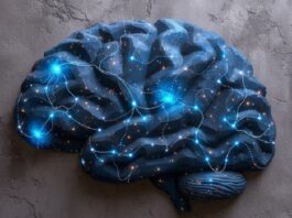 Día Mundial del Cerebro: cómo cuidar la salud neurológica