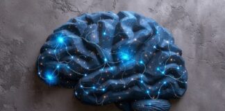 Día Mundial del Cerebro: cómo cuidar la salud neurológica