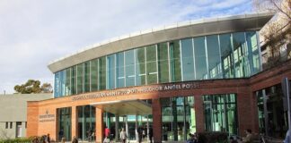 Salud Pública en San Isidro: cuáles son las mejoras integrales para los tres hospitales