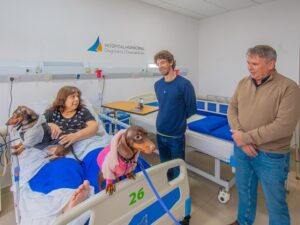 san fernando - animales hospital 1