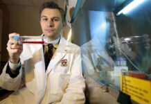 Según David Sinclair, genetista de Harvard, comer una vez al día alargaría la vida unos 20 años