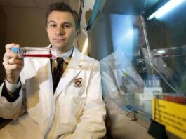 Según David Sinclair, genetista de Harvard, comer una vez al día alargaría la vida unos 20 años