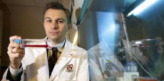 Según David Sinclair, genetista de Harvard, comer una vez al día alargaría la vida unos 20 años