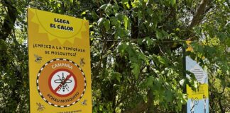 “Chau Mosquito”, la muestra de SC Johnson y Edupas para concientizar sobre las enfermedades transmitidas por mosquitos