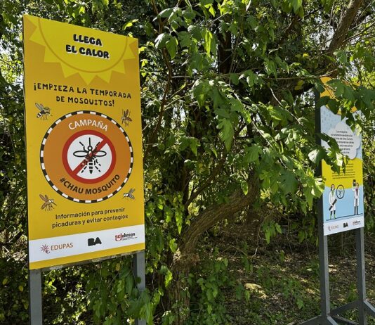 “Chau Mosquito”, la muestra de SC Johnson y Edupas para concientizar sobre las enfermedades transmitidas por mosquitos