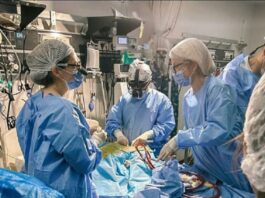 El Garrahan y San Isidro salvan la vida de una bebé en un traslado inédito de alta complejidad